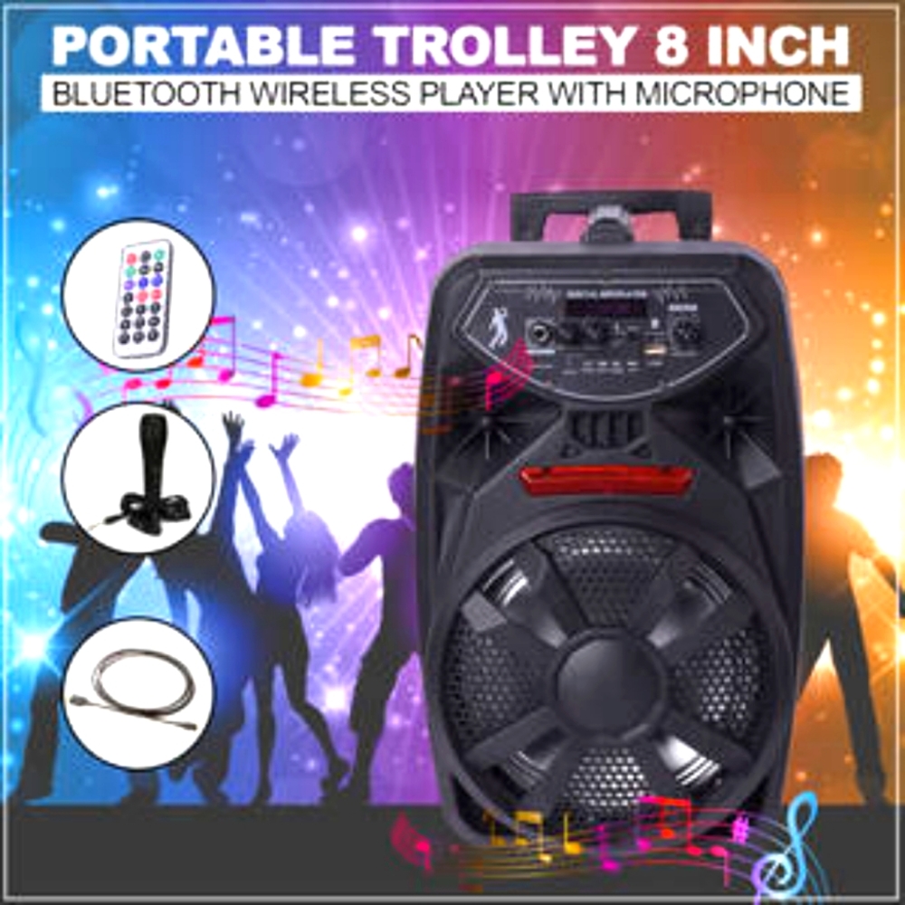 HOST PICK - Bluetooth Portable Player with Microphone